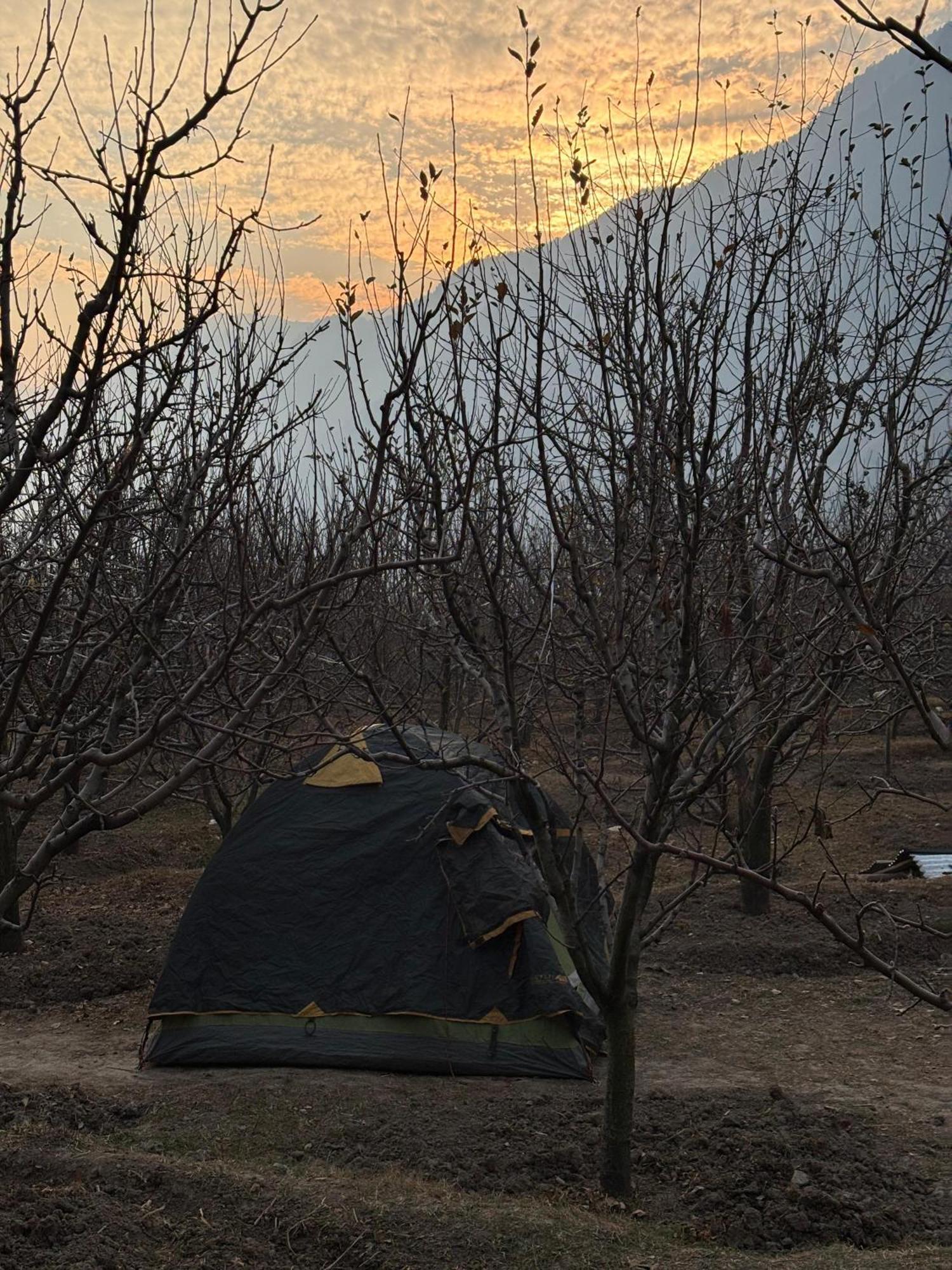 The Hideout - Hiraeth Hostel Manali  Exterior photo