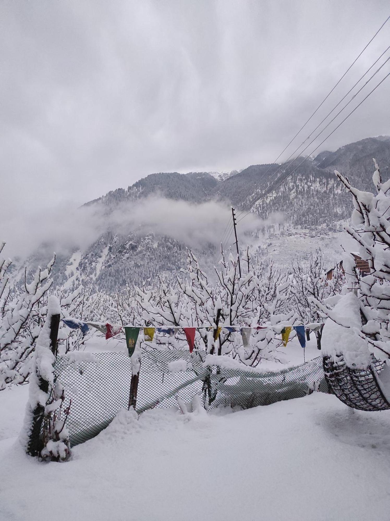 The Hideout - Hiraeth Hostel Manali  Exterior photo